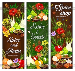 Spice, herb and seasoning, food condiment banners - vector image