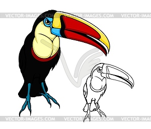 Toucan bird, exotic tropical jungle bird, cartoon - vector clip art