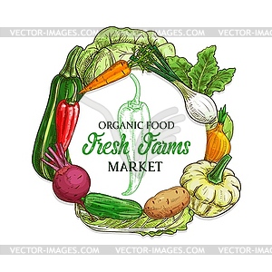 Farm vegetables and veggies sketch food - vector image