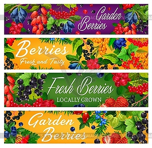 Garden and forest erries banners - vector clipart