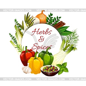 Spices, herbs, food seasonings and condiments - vector image