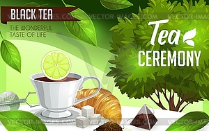 Tea ceremony. Cup and bush, brew and sugar - vector image