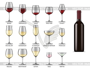 Wine glasses types, white and red wine drink cups - vector image