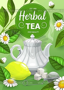 Herbal tea with chamomile and mint leaves - vector image