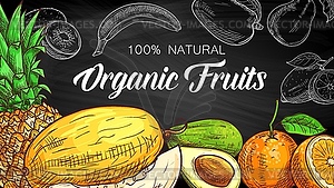 Tropical fruits sketch on chalkboard, organic food - vector image