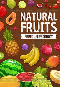 Tropical and garden fruits, farm market harvest - vector image