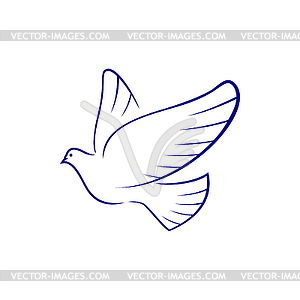 Pigeon bird holy dove - vector image