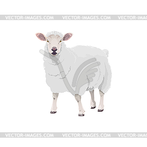 Sheep farm animal cattle icon, lamb livestock - vector clipart