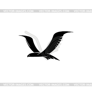 Hawk flying bird silhouette - vector image