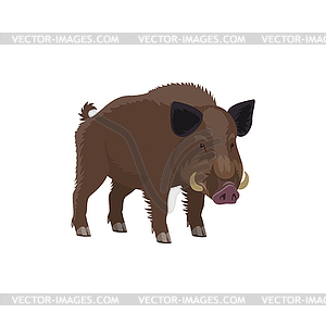 Boar hog hunt and zoo wild animal - vector clip art