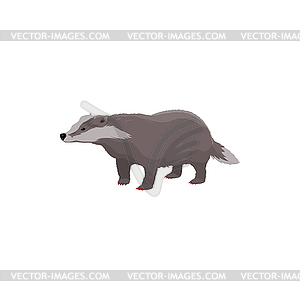 Badger short-short legged forest animal - vector clipart