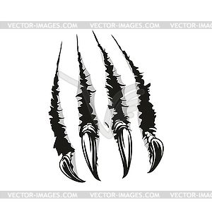 Claws scratches trace, wild animal torn slashes - vector EPS clipart