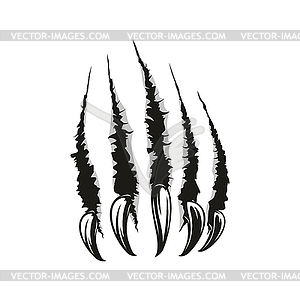 Animal claws scratches trace, torn slashes texture - vector clipart