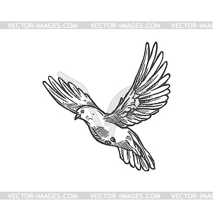 Dove pigeon, flying bird sketch - stock vector clipart