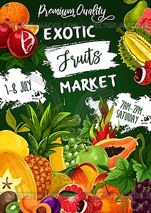 Tropical fruits, farm food exotic garden fruits - vector clipart