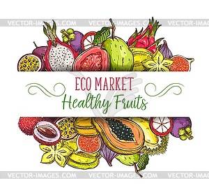Exotic tropical fruits sketch, farm garden food - vector image