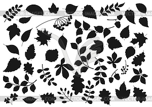 Leaf silhouettes, tree leaves and seeds icons - vector clipart