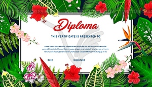 Kids diploma with tropical plants and flowers - vector clip art