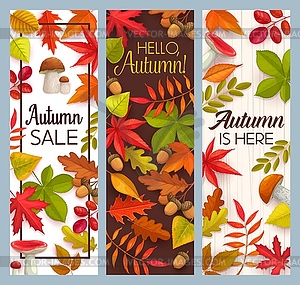 Hello Autumn and fall seasonal sale banners - vector image