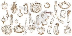 Vegetables sketch food farm doodle icons - vector image
