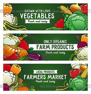 Vegetables banners, farm food, raw veggies - vector clip art