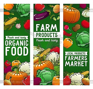 Vegetables banners, farm food, eco veggies - vector clipart / vector image