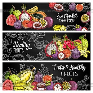 Tropical fruits chalk sketch banners set - vector image