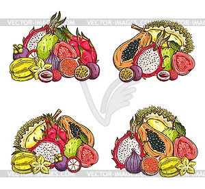 Tropical fruits sketch, orchard - vector clipart