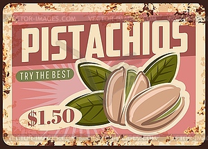 Pistachio nuts metal rusty plate, food poster - vector clip art