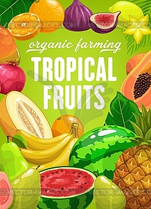 Tropical fruits farming cartoon poster - vector clipart