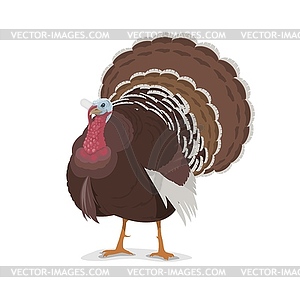 Turkey cartoon mascot, poultry farm fowl - vector clipart