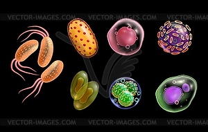 Viruses and bacteria realistic microscopic cells - vector clip art