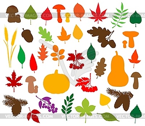 Autumn nature silhouettes, leaves, fruits, veggies - vector image