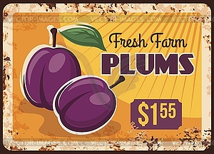 Plums rusty metal plate, fruits food farm market - vector image