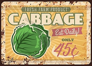 Vegetable farm cabbage rusty metal plate - vector clipart