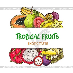 Exotic tropical fruits sketch banner - vector clipart