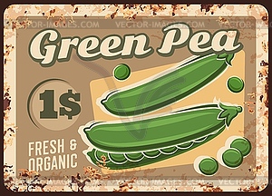 Green peas rusty metal plate farm price tag - vector clip art