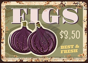 Figs fruits rusty metal plate price, food farm - vector image