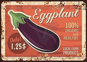 Eggplant vegetable metal plate rusty, farm food - vector image