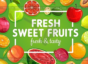 Fruits poster, tropical exotic sweet fruits food - stock vector clipart