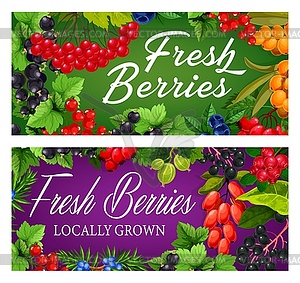 Farm garden, wild ripe berries banner - vector clipart