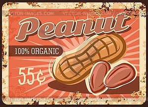 Peanut nuts metal rusty plate, food store price - vector image