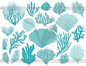 Coral reef or seaweeds underwater plant set - vector image