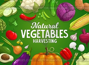 Vegetables and greener farm harvest banner - stock vector clipart