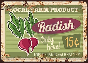 Local farm radish rusty metal plate - vector clip art