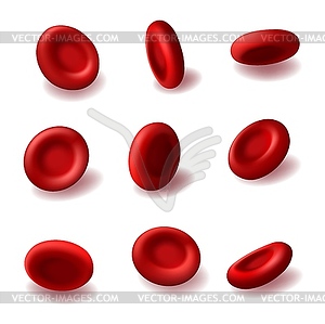 Red blood cells 3d hemoglobin, hematology - vector image