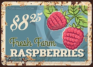 Fresh raspberry rusty metal plate, tin sign - vector clip art