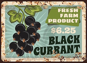 Blackcurrant berries metal plate rusty fruits food - stock vector clipart
