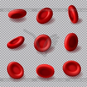 red blood cells clipart