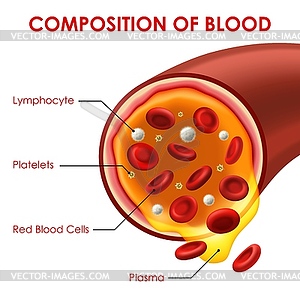 Composition of blood medicine aid scheme - vector clip art